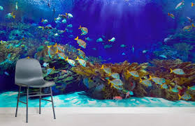 Deep Blue Underwater Wallpaper Mural