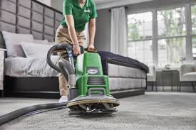 professional carpet cleaning in fort
