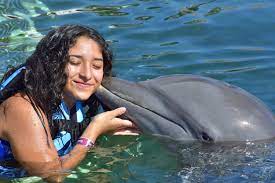 how do i swim with dolphins in cancun