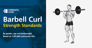 barbell curl standards for men and