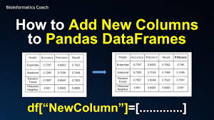 columns to a pandas dataframe
