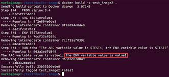 how to set docker environment variables