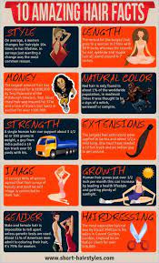 10 amazing hair facts daily infographic