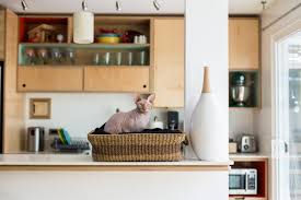 Keep in mind also that you should not store cat toys in a location near the countertop, such as a cabinet. Tips For Keeping Cats Off Kitchen Counters Apartment Therapy