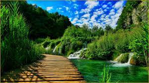 Green Nature Wallpapers and HD ...