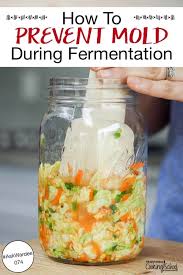How To Prevent Mold During Fermentation