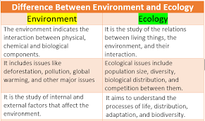 Therefore, it is important for every individual to save and protect our environment. Difference Between Environment And Ecology Guidance Corner
