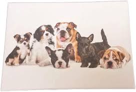 Bläddra bland 8 574 group of puppies bildbanksfoton och bilder, eller påbörja en ny sökning för att. Amazon Com Group Of Puppies Box Set Of 15 Note Cards 3 5 X 5 With Envelopes Office Products
