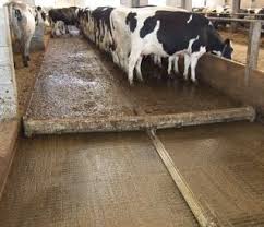 manure sers for slatted of solid