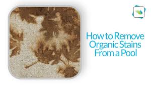 how to remove organic stains from a pool