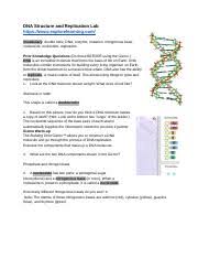 Phases of water answer key vocabulary: Dna Replication Gizmo Docx Dna Structure And Replication Lab Https Www Explorelearning Com Vocabulary Double Helix Dna Enzyme Mutation Nitrogenous Course Hero
