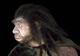 Neanderthal Man Poster by Javier Truebamsf