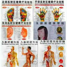 Details About Whole Body English Acupuncture Meridian Acupressure Points Poster Chart Wall Map