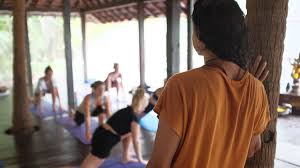 yoga teacher training ashiyana