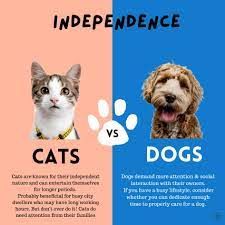 dogs versus cats which one is more