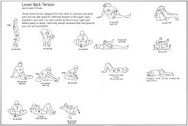 Back Care Exercise Chart Swedinbalchiks Blog