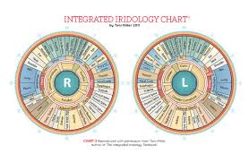 Toni Miller Iridology Chart