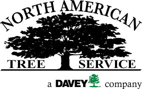 Serving atlanta, snellville, lawrenceville, duluth, decatur, monroe, norcross. Tree Care Snellville Lawrenceville Ga North American Tree Service