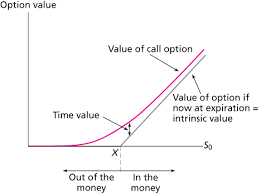 Option Valuation Option Values Determinants of Call Option Values