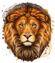 color lion drawing vector images over