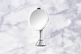 best magnifying mirror with light the