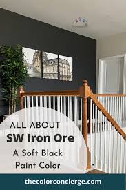 Sherwin Williams Iron Ore Color Review
