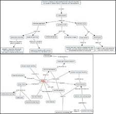 Literature Review    Curricular contextualization map  