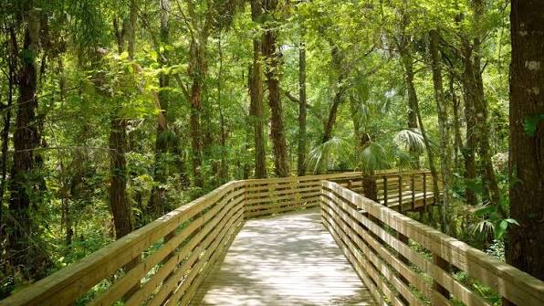 Eureka Springs Conservation Park