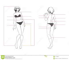Woman Body Measurement Chart Stock Vector Illustration Of