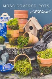 Moss Covered Pots Tutorial