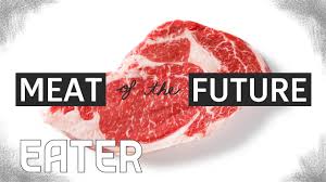 the now what is lab grown meat