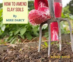 black gold how to amend clay soils