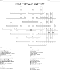 A structure that monitors the body's variables. Conditions And Anatomy Crossword Wordmint