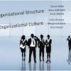 Culture and Organisation