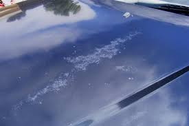 Looking for a good deal on car paint repair? Any Diy Method To Fix Peeling Clear Coat Mbworld Org Forums