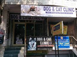 That's why we started dogs and cats clinic, the one and only clinic you'll ever need. Dog And Cat Clinic Veterinary Clinic In Cr Park Delhi Book Appointment View Fees Feedbacks Practo