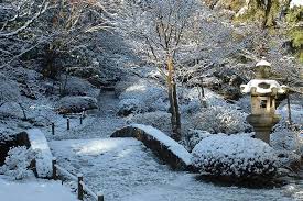 Japanese Garden Landscape Design