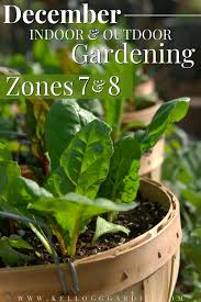 winter gardening checklist zones 7 8