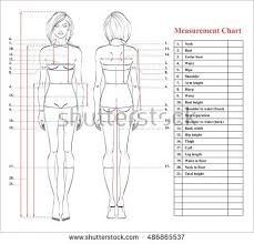 Women U S Printable Body Measurement Chart Www