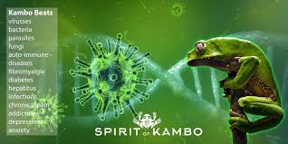 It involves the application of the secretion from phyllomedusa bicolour to burns created on the skin. Spirit Of Kambo Home Facebook