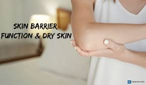 the importance of skin barrier function