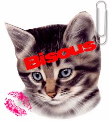 Résultat de recherche d'images pour "gif bisou chat"