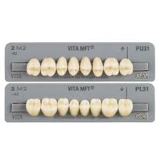 Vita Mft Multi Functional Teeth Set Anteriors Promotion Available