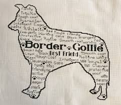 Border Collie In Words