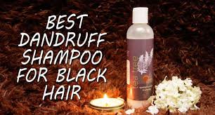 Shea moisture african black soap dandruff control shampoo. Top 5 Best Rated Dandruff Shampoo For Black Hair Lewigs