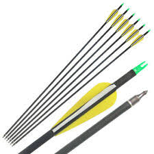 Victory Archery Decimator Arrows 6 Pack Compound Bow