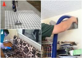 family carpet and upholstery cleaning