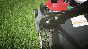 Jul 22, 2021 · the thick lawn grass chokes out any existing crabgrass, thus killing it naturally. Zoysia Grass Everything You Need To Know Product Reviews Growing Tips