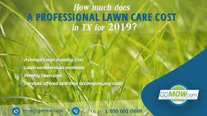 While looking at national averages can give a general idea, such numbers usually do not include factors which may affect the final price. How Much Does A Professional Lawn Care Cost In Tx For 2019 Gomow