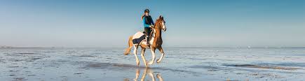 where-in-the-us-can-you-ride-a-horse-on-the-beach